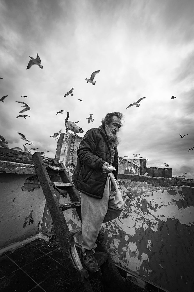 Man feeding seagulls de Nihal Eken