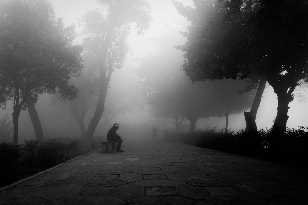 The Fog de Nilendu Banerjee