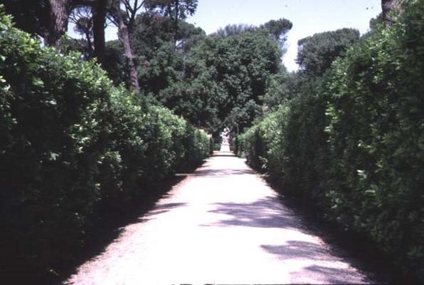 View of the garden, detail of the walkway lined with boxwood hedges, designed by Nanni di Baccio Big de 