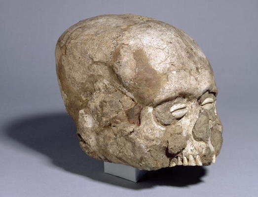 Portrait skull with cowrie shell eyes, Jericho, c.7th millennium BC (skull, plaster, shell) (3/4 vie de 