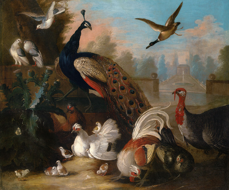 A Peacock And Other Birds In An Ornamental Landscape Attributed To Marmaduke Craddock (C de 