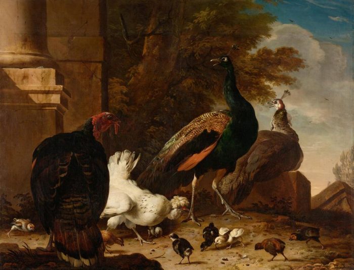 A Hen with Peacocks and a Turkey de 