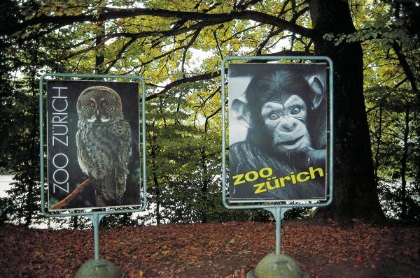 Animal signboards (photo)  de 