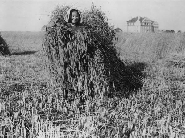 Peasant Woman / Harvest / after 1914 de 