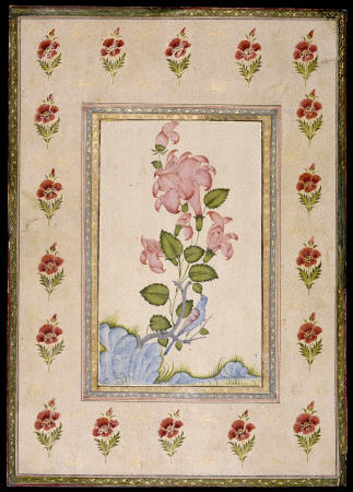 Bird And Flower Study, Mughal India de 