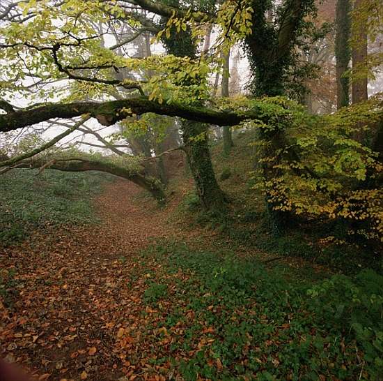 Briar Borus Fort, Killaloe de 