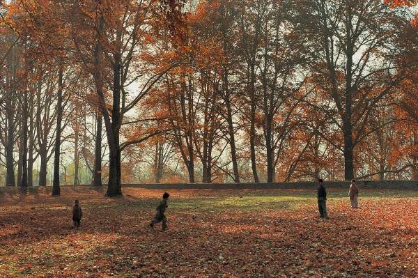 Children playing under huge Chenar trees in autumn, Nishat Bagh, Srinagar (photo)  de 