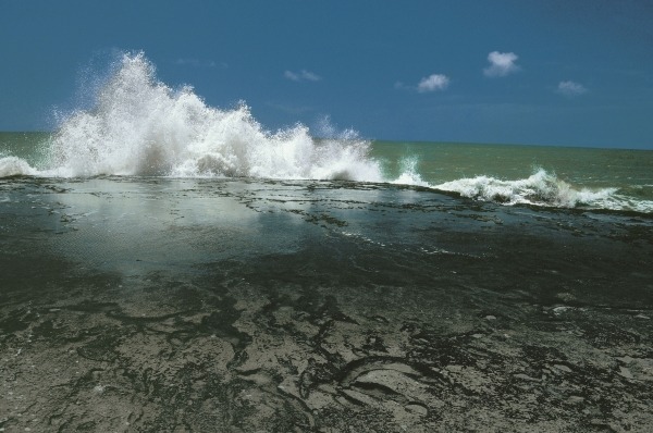 Chorwad known mainly for giant waves breaking against algae-covered rocks (photo)  de 