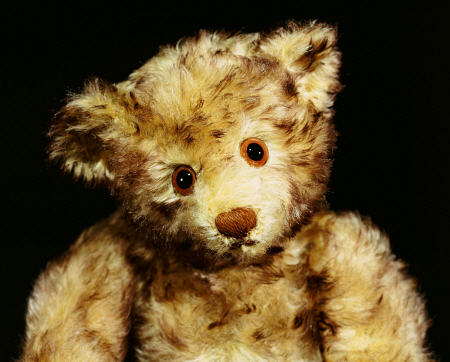 Close Up Of A Steiff ''Dual'' Mohair Teddy Bear, C, 1926 de 