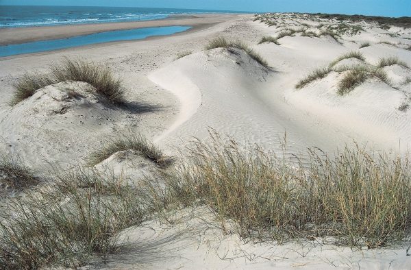 Coastal sand dunes, Kutch (photo)  de 