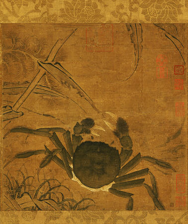 Crab Among Grass And Bamboo de 
