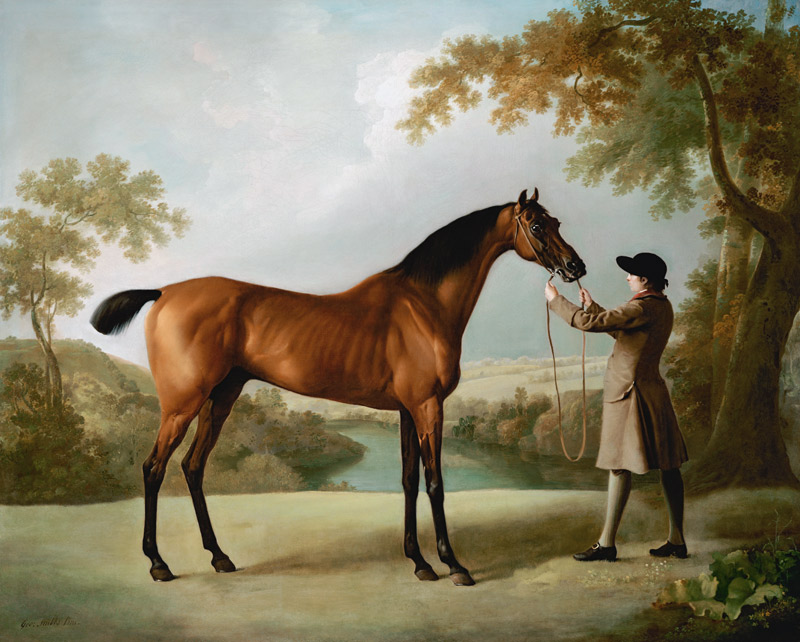 Tristram Shandy, A Bay Racehorse Held By A Groom In An Extensive Landscape de 