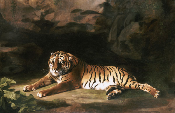 Portrait Of The Royal Tiger de 