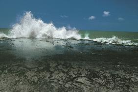 Chorwad known mainly for giant waves breaking against algae-covered rocks (photo) 