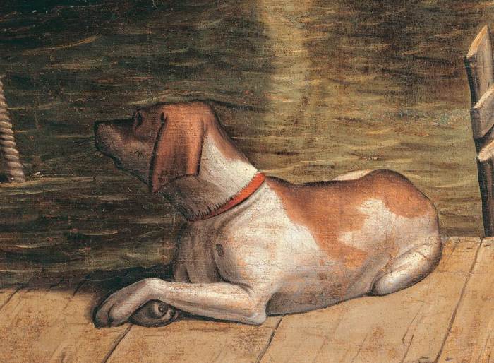 Detail. Curled up dog pier collar faithfulness. de 