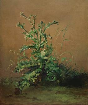 Edouard Manet, Die Distel