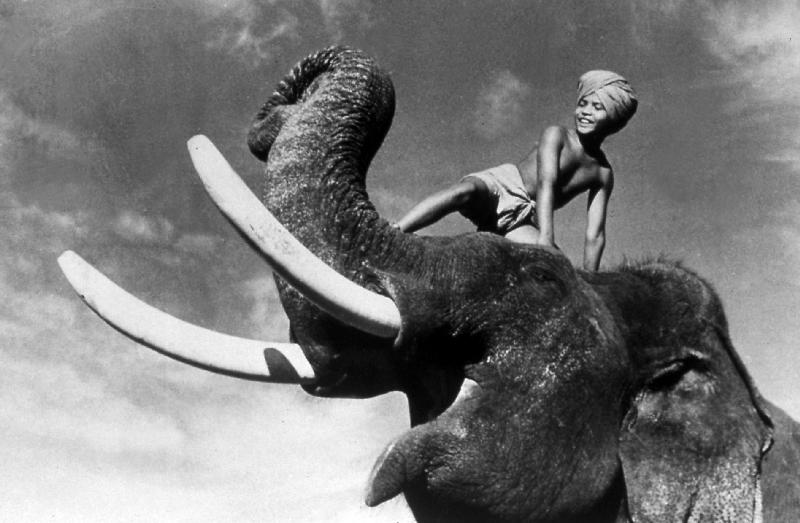 ELEPHANT BOY, de RobertFlaherty et ZoltanKorda avec Sabu de 