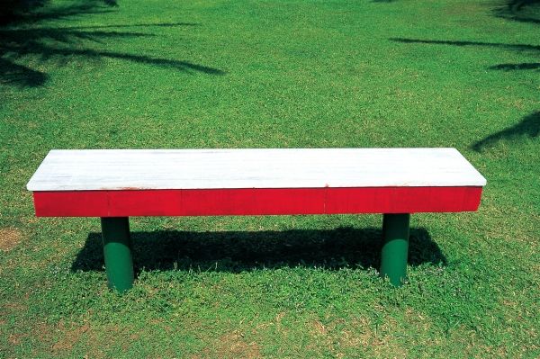 Empty wooden bench in garden (photo)  de 
