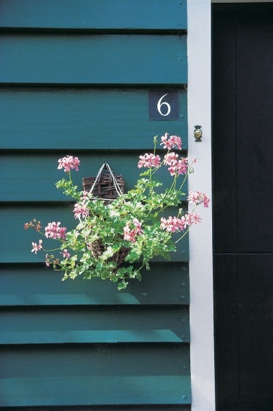 Flower-pot hung from peg on one of the door''s blue slats showing six number (photo)  de 