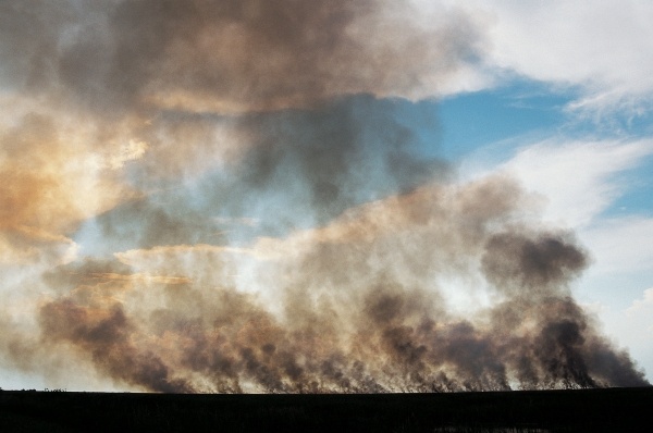 Forest Fire, Everglades National Park (photo)  de 