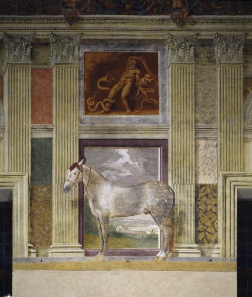 Giulio Romano, Pferd der Gonzaga de 