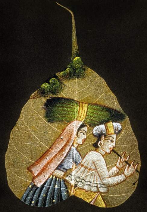 Inde peinture sur feuille d'arbre sechee de 
