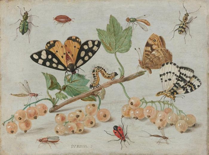 Insects and Fruit de 