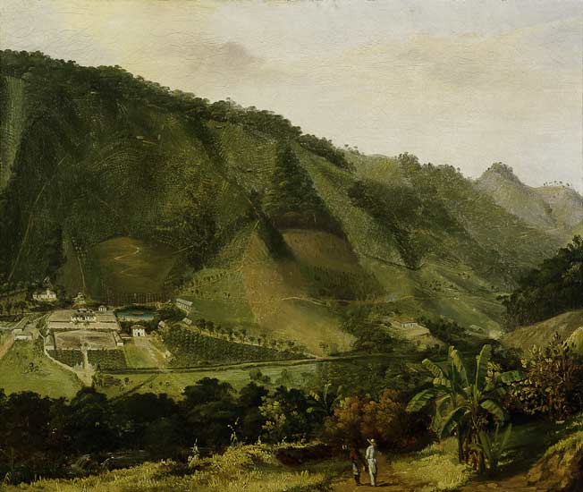 Martinique, landscape / Painting C19th de 