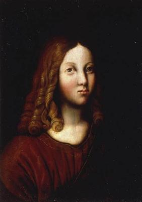 Marco d''Oggiono / Christ / Paint./ C16