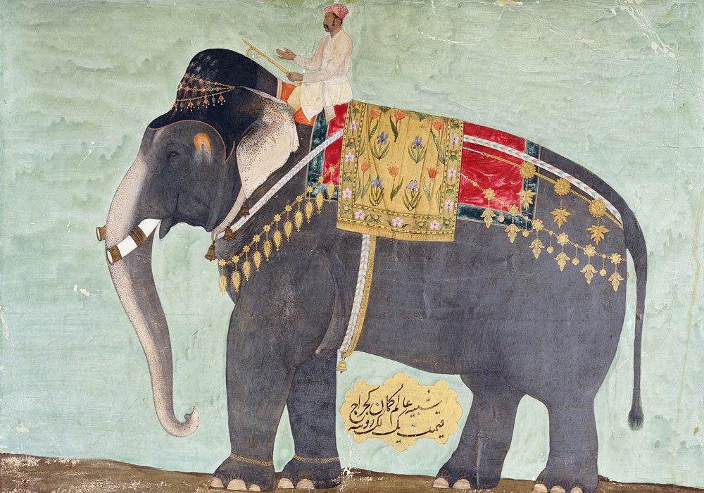 Portrait Of The Elephant  ''Alam-Guman Gajraj'' de 