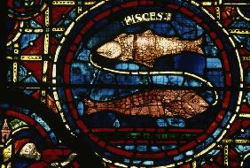 Pisces / French stained glass / 13th-c.