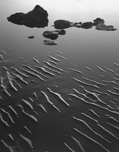Sand surface, Porbandar III (b/w photo)  de 