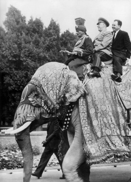 The field marshal Georgi Joukov, soviet Defence minister in New Delhi in India on an elephant de 