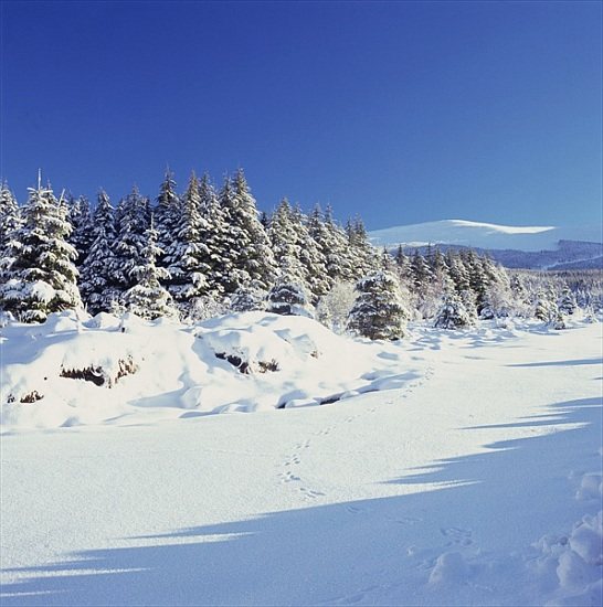 The Wicklow Mountains in Winter de 