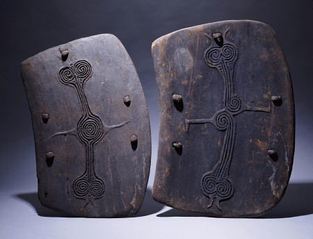 Two Lumi Shields In Rectangular Form de 