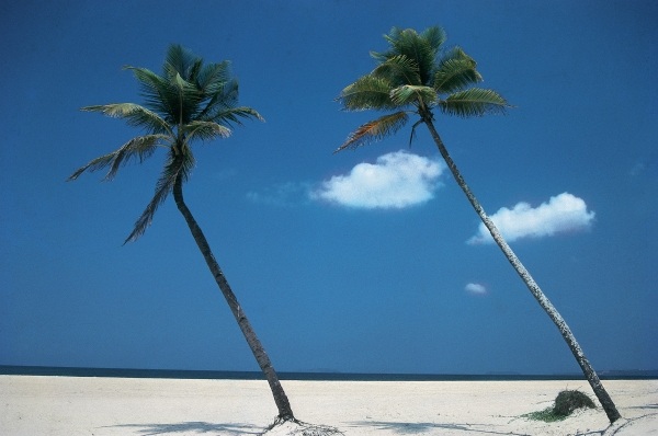 Typical beach of Goa (photo)  de 