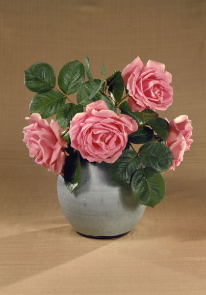 Vase mit rosafarbenen Rosen / Foto de 