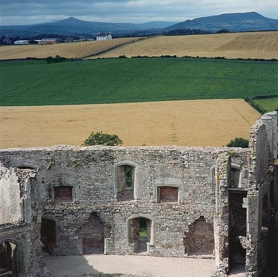 View from the Keep, Raglan Castle de 