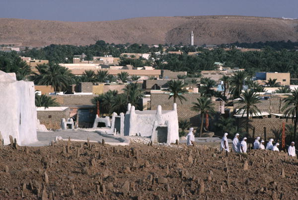 View of the cemetery on the western side of the city (photo)  de 