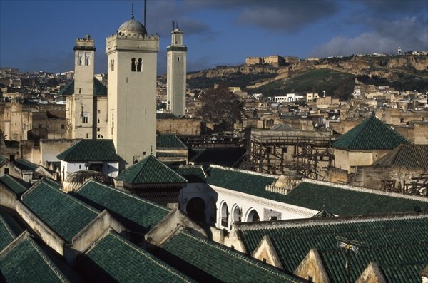 View of the mosque and the roofs (photo)  de 