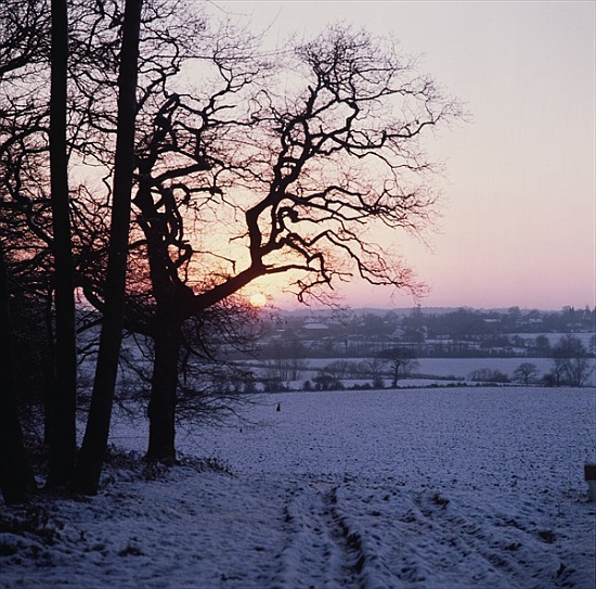 Winter scene in the snow, Hockley, Essex de 