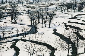 Winter scene, Tangmarg Gulmarg (photo) 