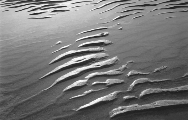 Wet sand, Porbandar (b/w photo)  de 