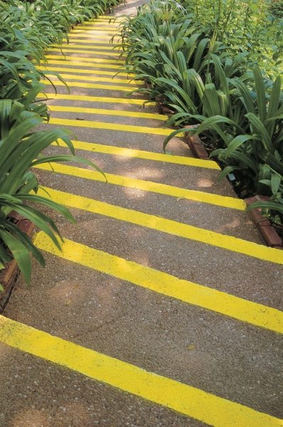 Winding steps fluorescent yellow stripes and bordering lily leaves bend gracefully, Phuket (photo)  de 