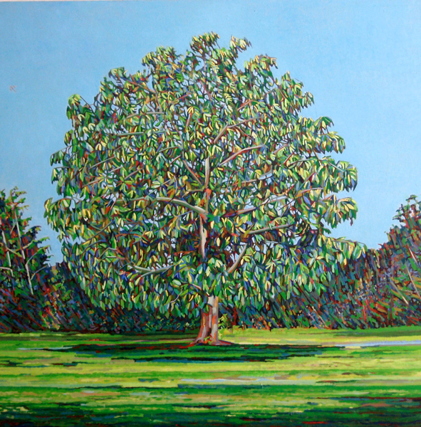 Bow Tree Summer de Noel Paine