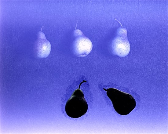 Blue Pears (after Wm. Scott) 2005 (colour photo)  de Norman  Hollands