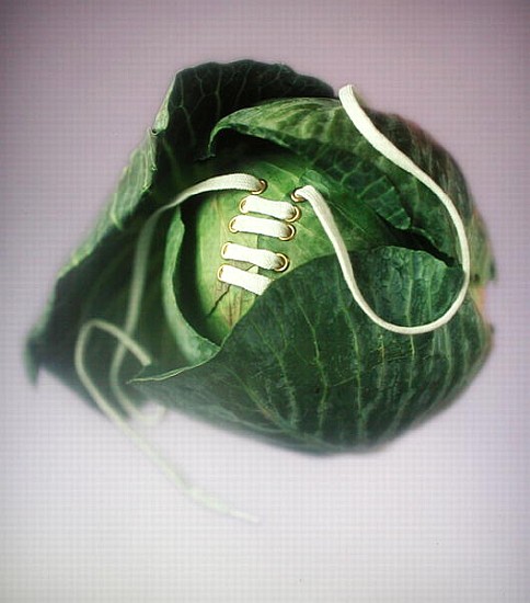 Cabbage with laces, 2000 (colour photo)  de Norman  Hollands