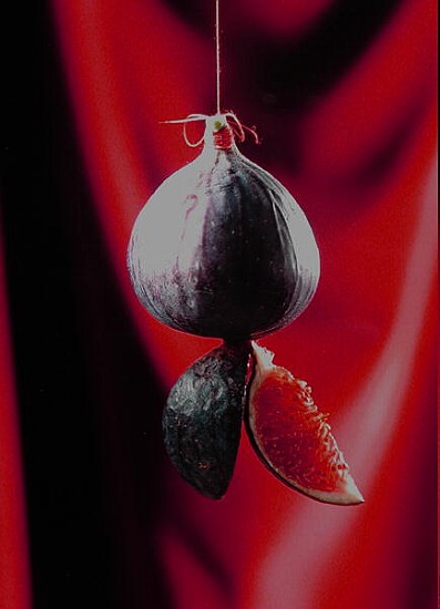 Fig on a string with segments, 2003 (colour photo)  de Norman  Hollands