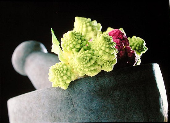 Romanescu in granite pestle & mortar, 2001 (colour photo)  de Norman  Hollands