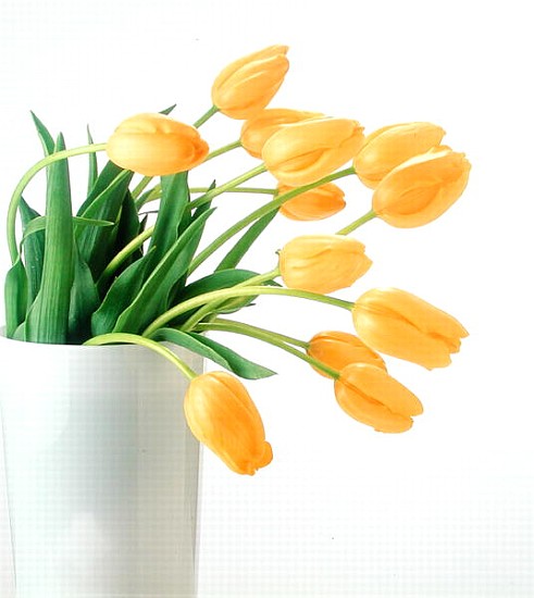 Yellow tulips I, 1999 (colour photo)  de Norman  Hollands